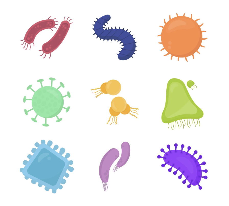 歯周病が全身の病気に繋がる！菌血症とは？